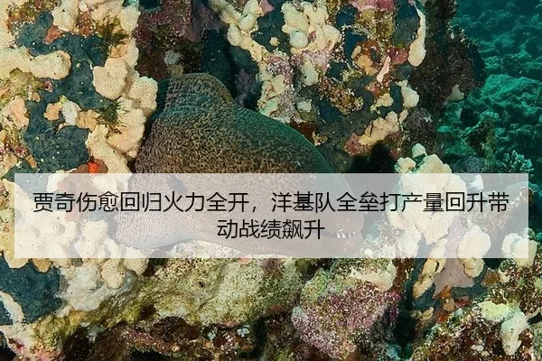 贾奇伤愈回归火力全开，洋基队全垒打产量回升带动战绩飙升