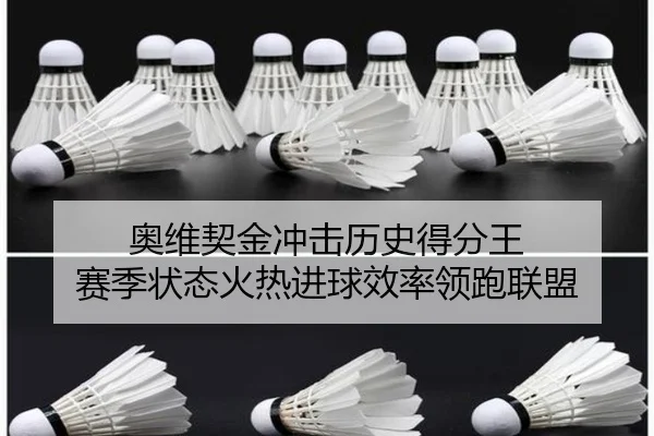奥维契金冲击历史得分王 赛季状态火热进球效率领跑联盟